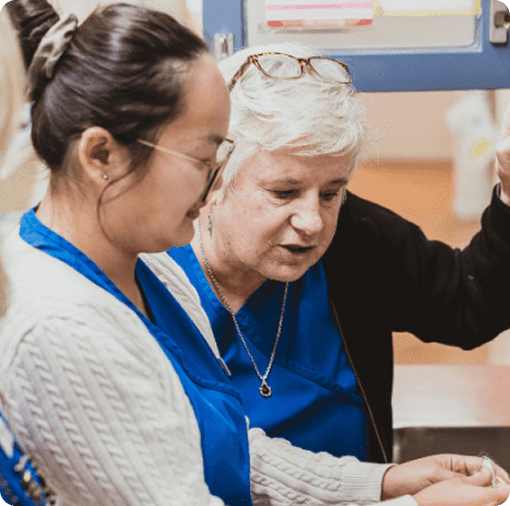 Practical support for general practice